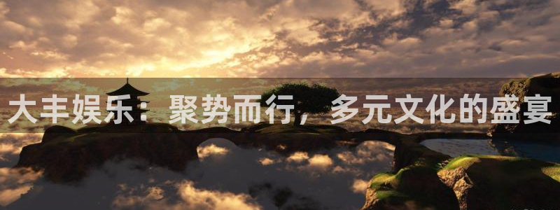 赢咖3：大丰娱乐：聚势而行，多元文化的盛宴