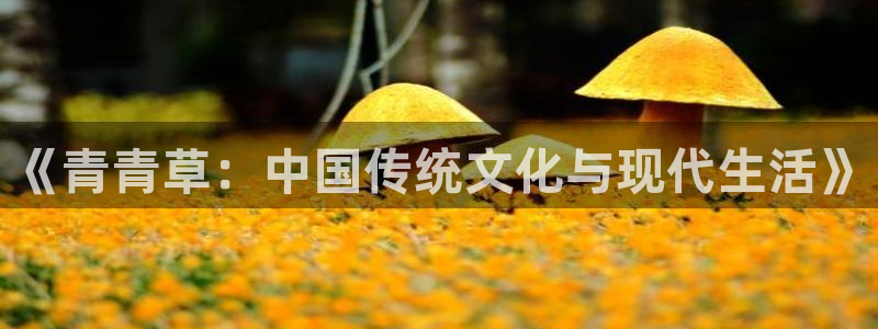 赢咖系列平台官网入口：《青青草：中国传统文化与现代生活》