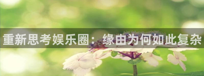 赢咖8：重新思考娱乐圈：缘由为何如此复杂