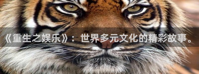 赢咖平台app：《重生之娱乐》：世界多元文化的精彩故事。