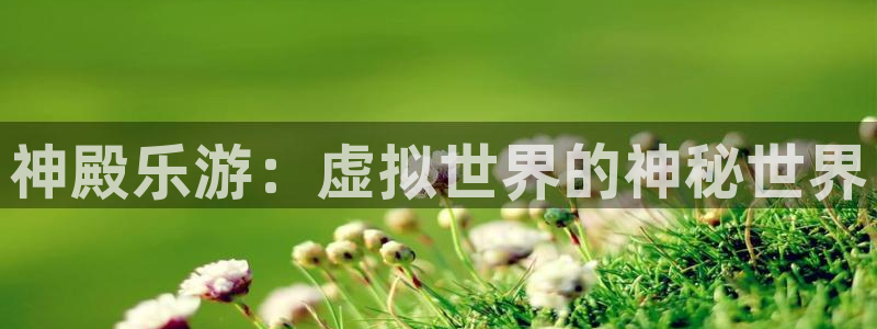 赢咖平台怎么注册：神殿乐游：虚拟世界的神秘世界