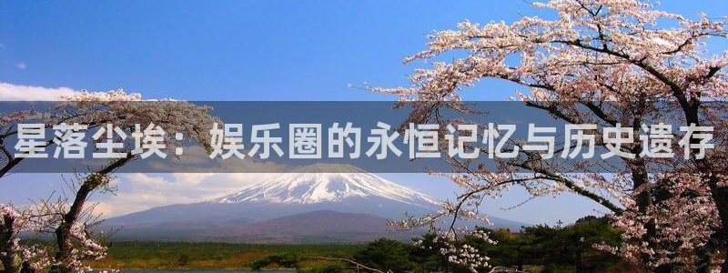 赢咖1平台网址：星落尘埃：娱乐圈的永恒记忆与历史遗存