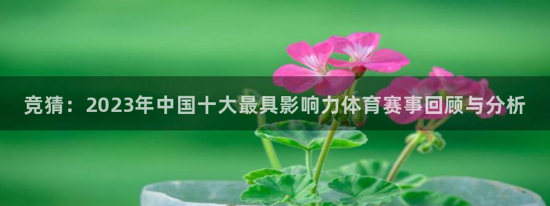 赢咖系列：竞猜：2023年中国十大最具影响力体育赛事回顾与分析